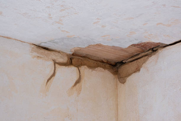 Best Local water damage restoration  in Sachse, TX
