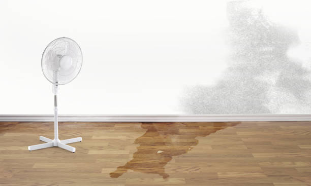 Best 24/7 water damage repair  in Sachse, TX
