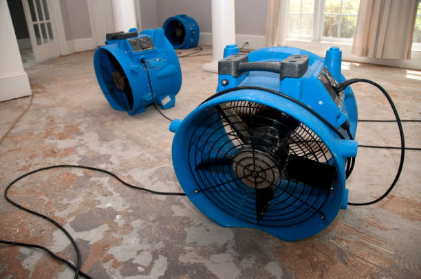 Best Emergency water damage restoration  in Sachse, TX