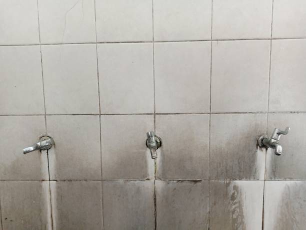 Best Water damage restoration process  in Sachse, TX