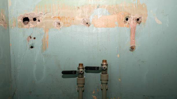 Best Water damage repair service  in Sachse, TX