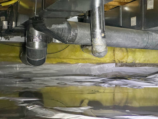 Best Basement water damage restoration  in Sachse, TX