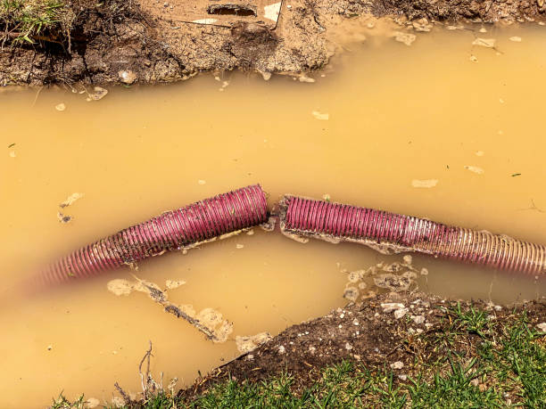 Reliable Sachse, TX Water damage restoration Solutions